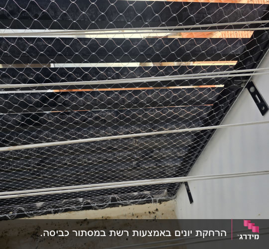 התקנת רשת נגד יונים במסתור כביסה עם חבלי כביסה